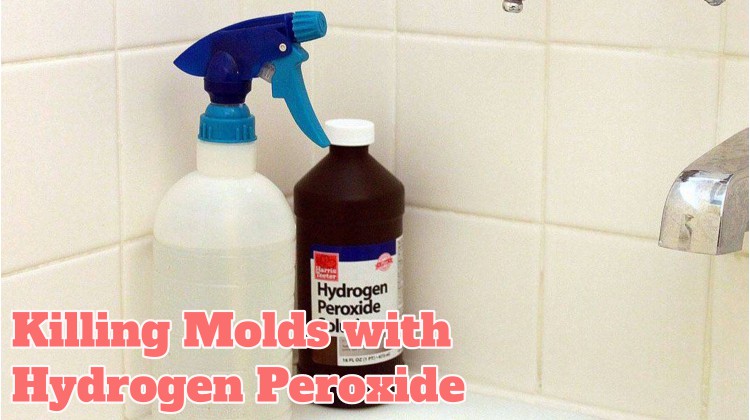 Does hydrogen peroxide remove mold
