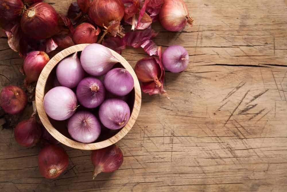types-of-shallots-
