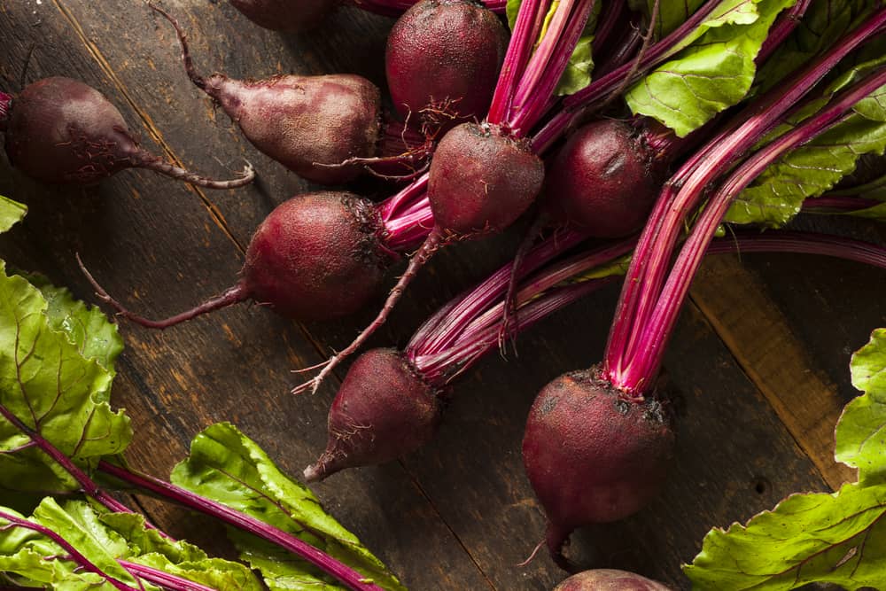 Can-You-Eat-Beets-Raw