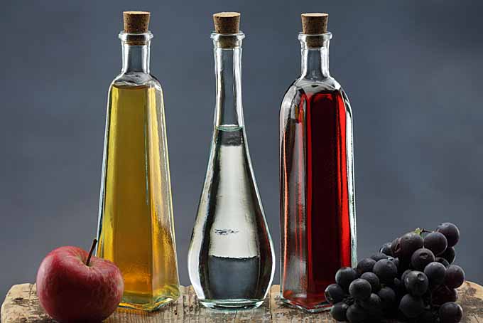 The-Wonderful-World-of-Vinegar