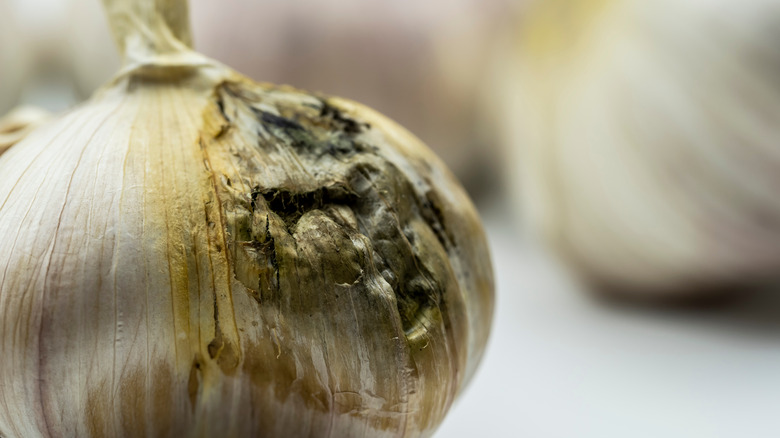 does-garlic-make-you-gassy-paperjaper