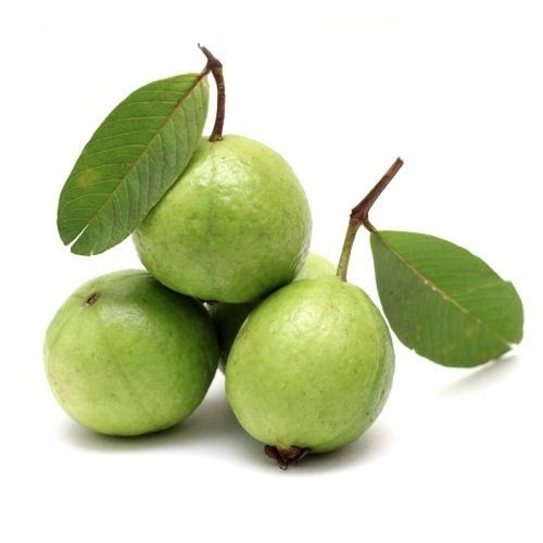 guava-