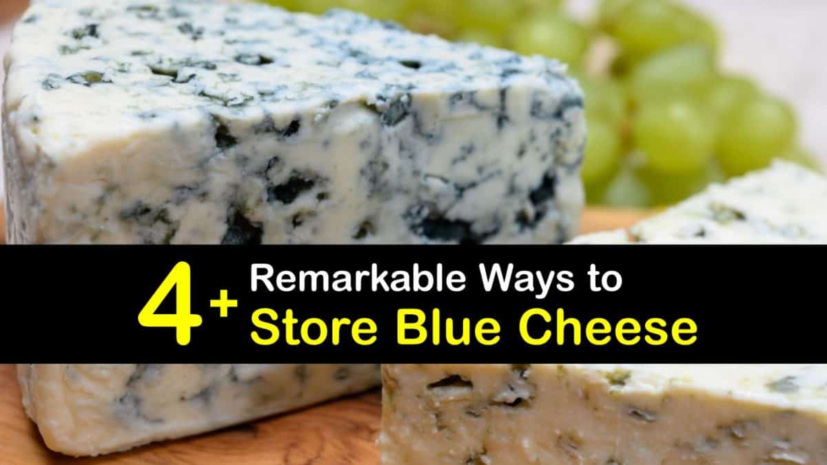 Can blue cheese be frozen and used later? – Eating Expired