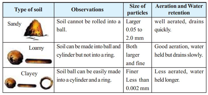 Types of Soil, Soil and Crops 1