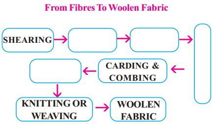 Wool - Wool yielding Animals, Silk 13