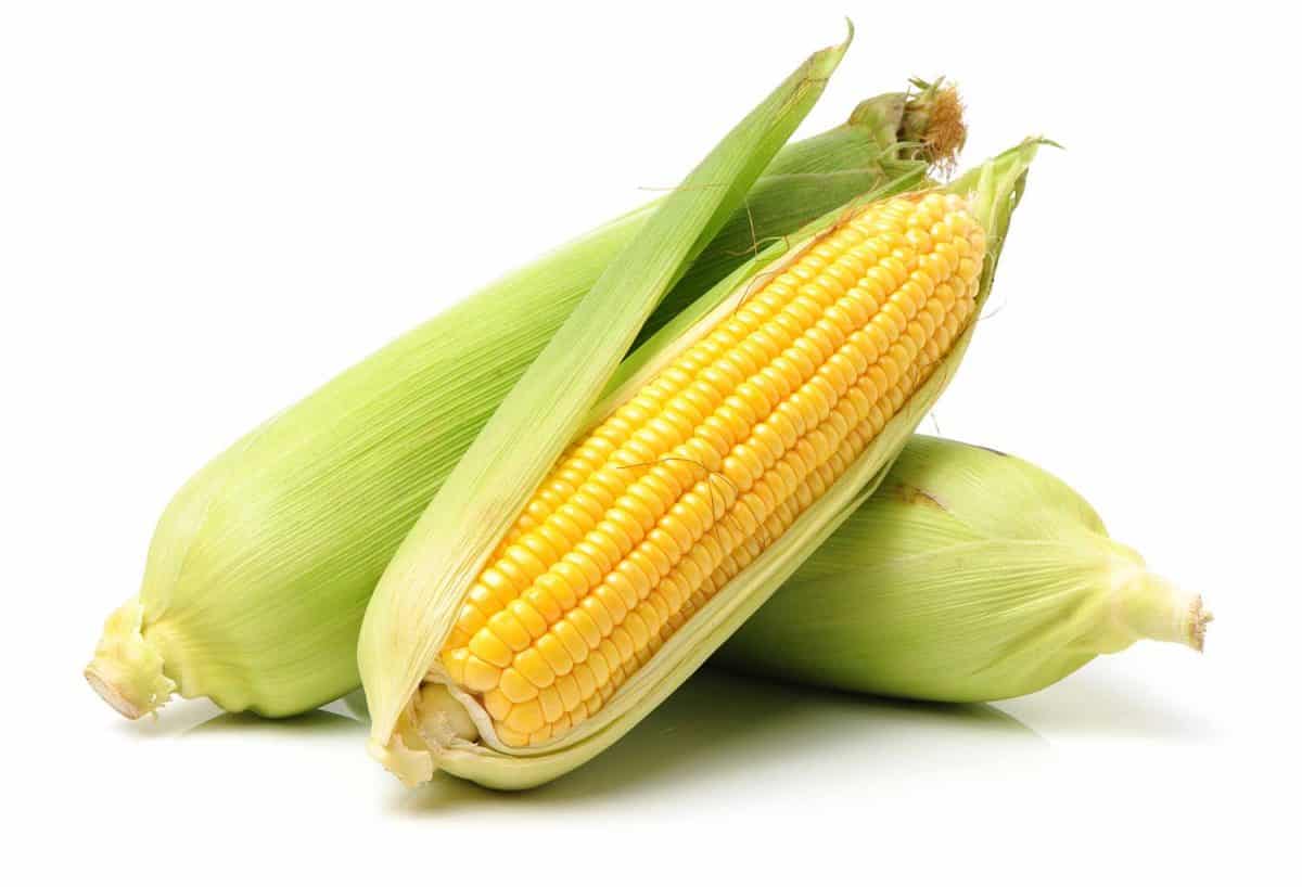 Does uncooked corn on the cob need to be refrigerated