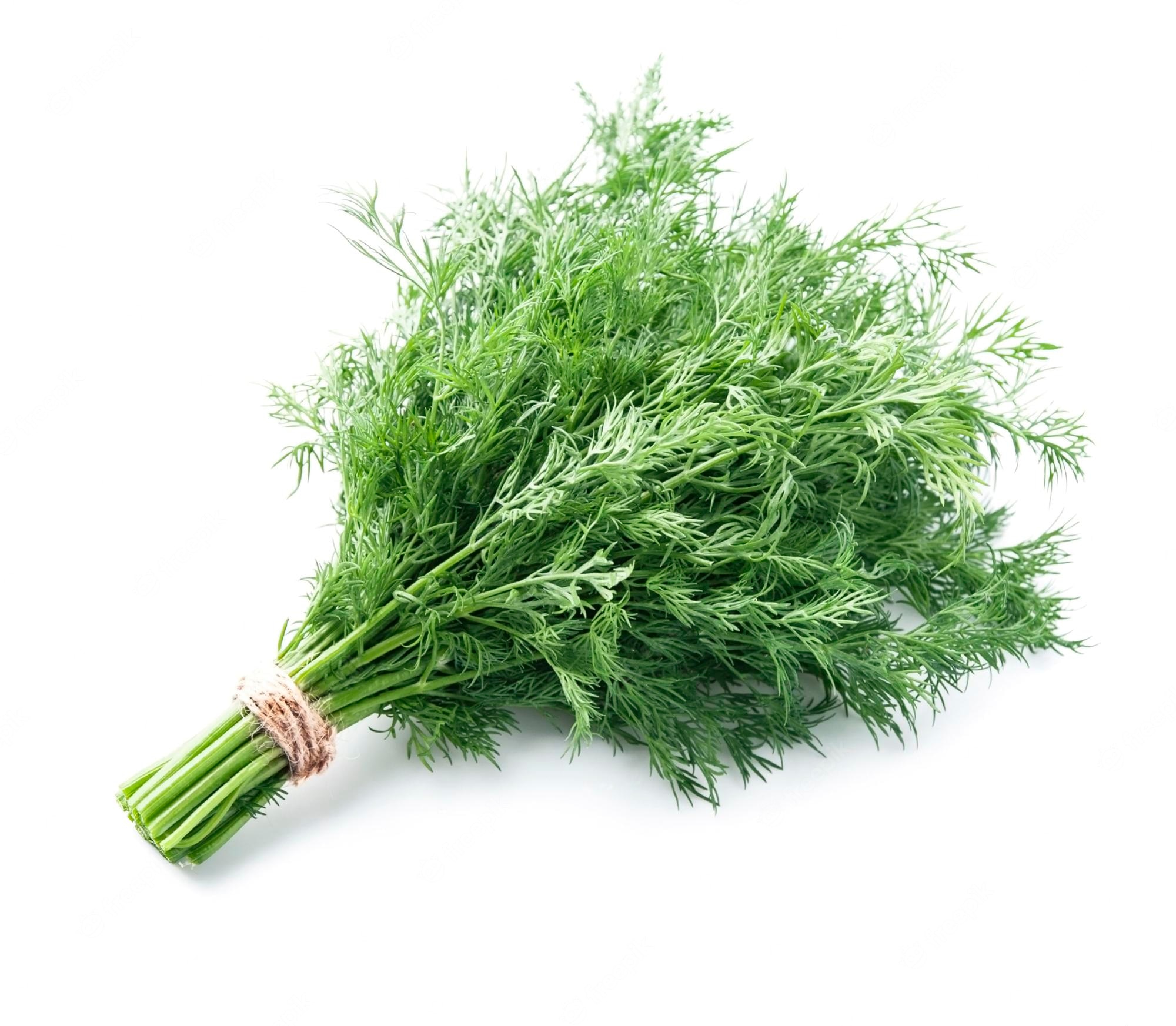 How much dill is in a bunch