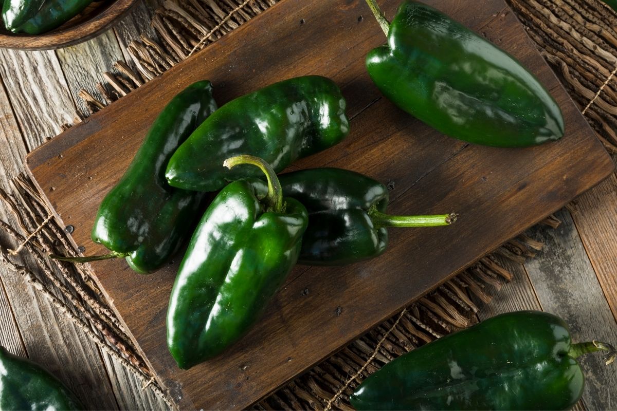 Substitutes-For-Poblano-Peppers