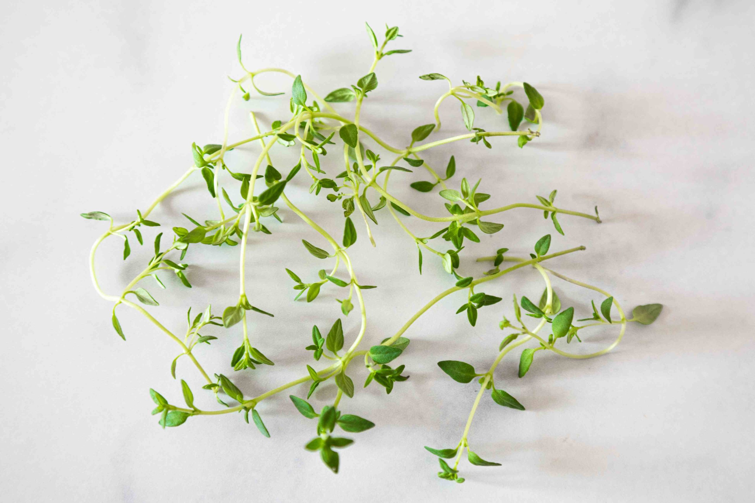 Simply-Recipes-Guide-to-Thyme-