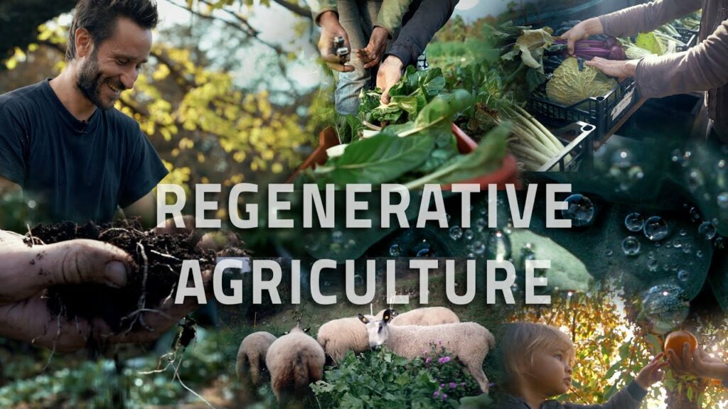 Why do we need regenerative farming